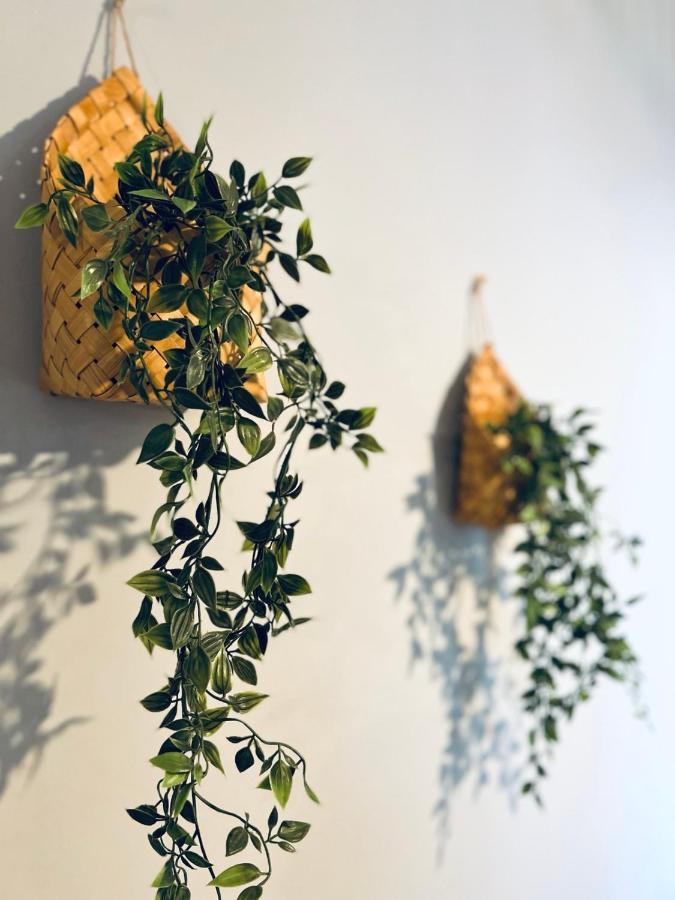 Top Apartman Sombor Extérieur photo